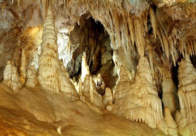 Пещера Леденика, Враца, Рогозенското съкровище